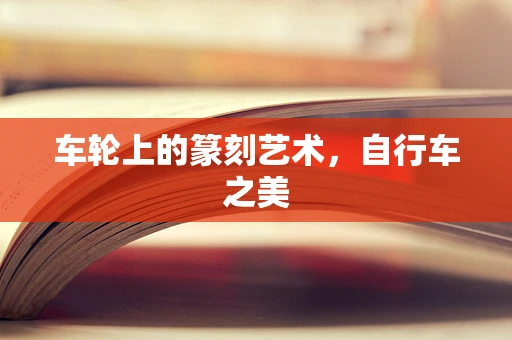 车轮上的篆刻艺术，自行车之美