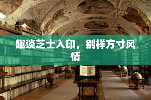 趣谈芝士入印，别样方寸风情