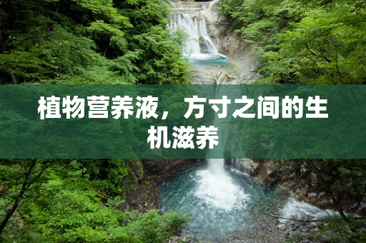 植物营养液，方寸之间的生机滋养