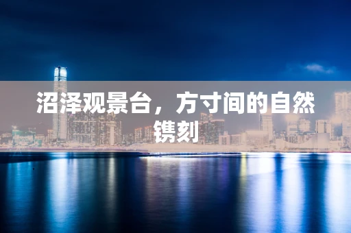 沼泽观景台，方寸间的自然镌刻