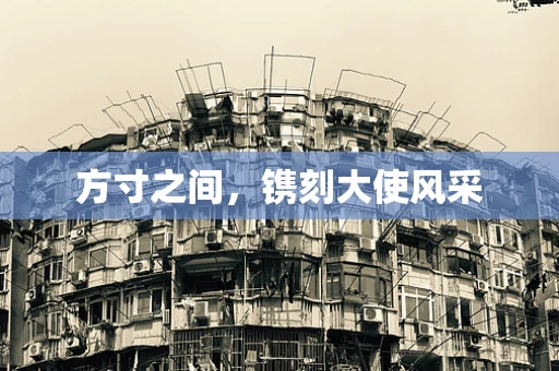 方寸之间，镌刻大使风采