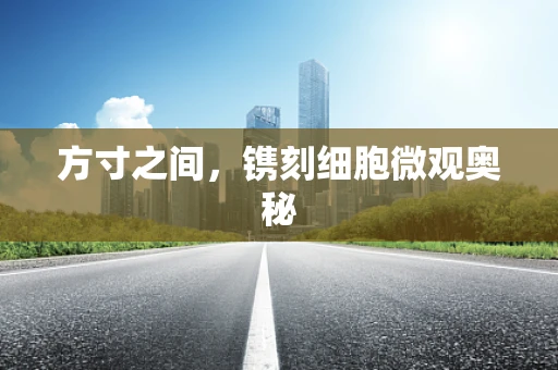 方寸之间，镌刻细胞微观奥秘