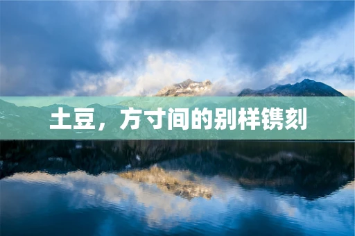 土豆，方寸间的别样镌刻
