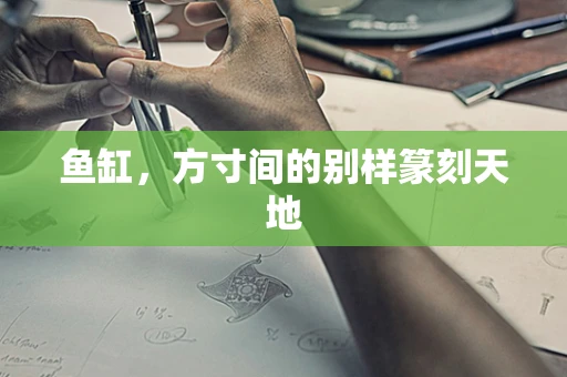 鱼缸，方寸间的别样篆刻天地