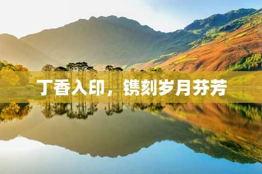 丁香入印，镌刻岁月芬芳