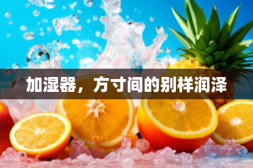 加湿器，方寸间的别样润泽