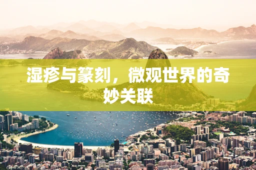 湿疹与篆刻，微观世界的奇妙关联