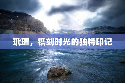玳瑁，镌刻时光的独特印记