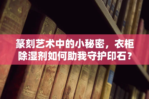篆刻艺术中的小秘密，衣柜除湿剂如何助我守护印石？