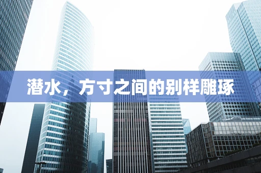 潜水，方寸之间的别样雕琢
