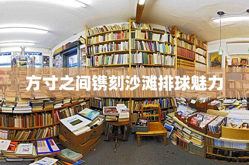 方寸之间镌刻沙滩排球魅力