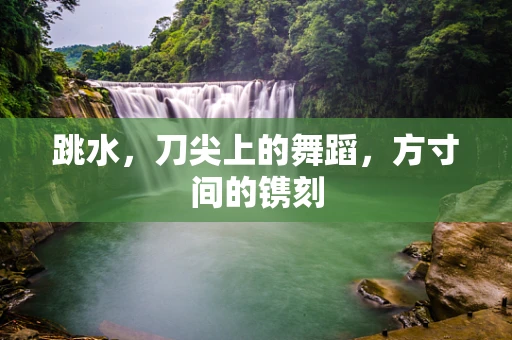 跳水，刀尖上的舞蹈，方寸间的镌刻
