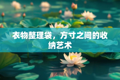 衣物整理袋，方寸之间的收纳艺术