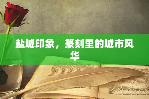 盐城印象，篆刻里的城市风华