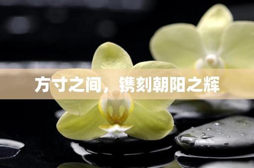 方寸之间，镌刻朝阳之辉
