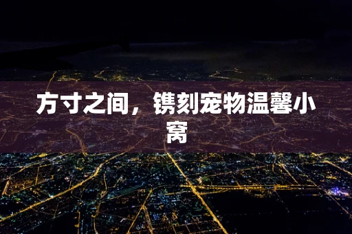 方寸之间，镌刻宠物温馨小窝