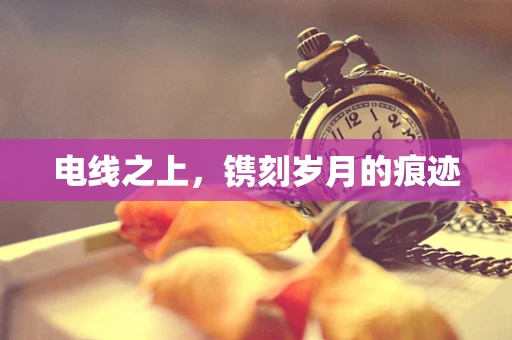 电线之上，镌刻岁月的痕迹