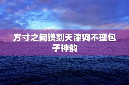方寸之间镌刻天津狗不理包子神韵