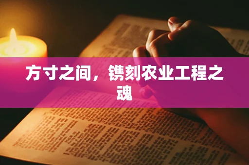 方寸之间，镌刻农业工程之魂