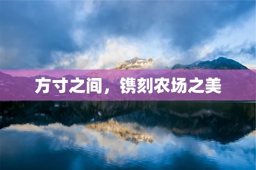 方寸之间，镌刻农场之美
