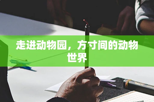 走进动物园，方寸间的动物世界
