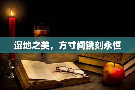 湿地之美，方寸间镌刻永恒