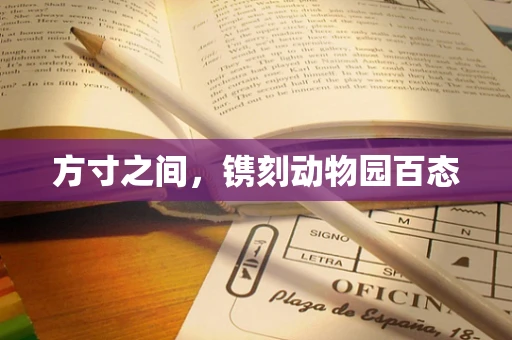 方寸之间，镌刻动物园百态
