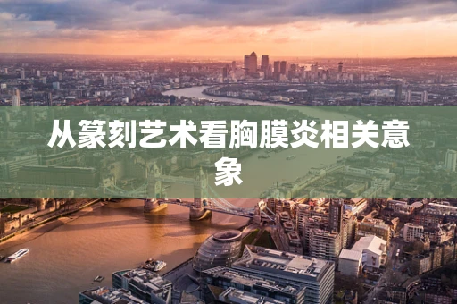 从篆刻艺术看胸膜炎相关意象