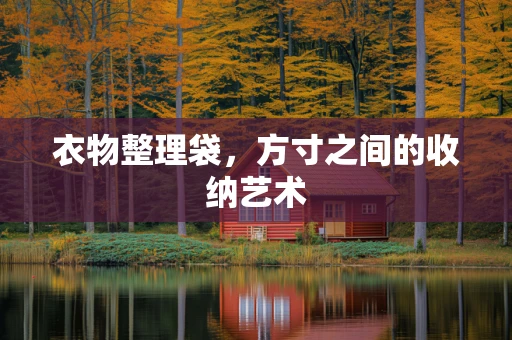 衣物整理袋，方寸之间的收纳艺术