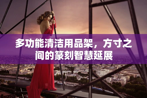 多功能清洁用品架，方寸之间的篆刻智慧延展