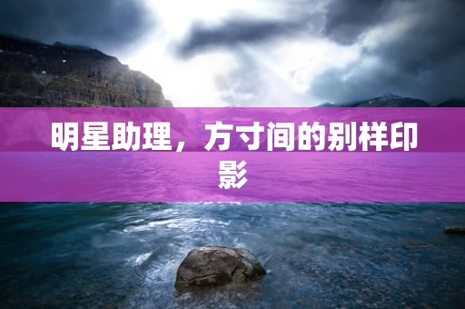 明星助理，方寸间的别样印影