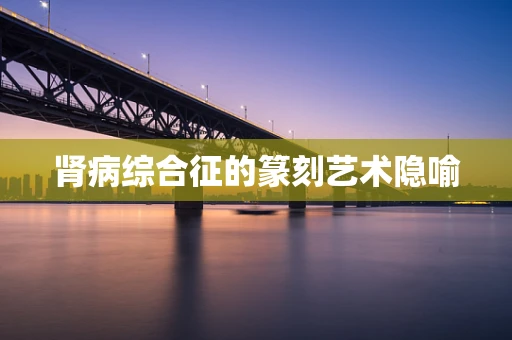 肾病综合征的篆刻艺术隐喻