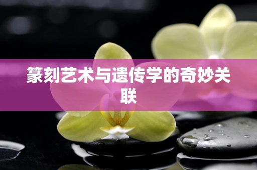 篆刻艺术与遗传学的奇妙关联