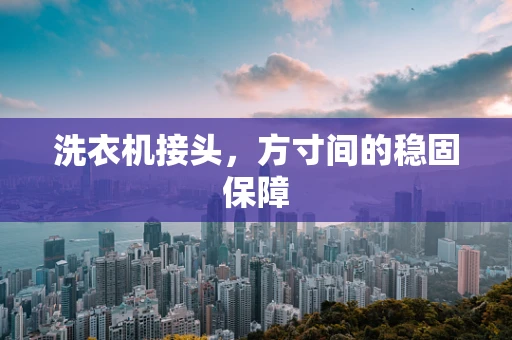 洗衣机接头，方寸间的稳固保障