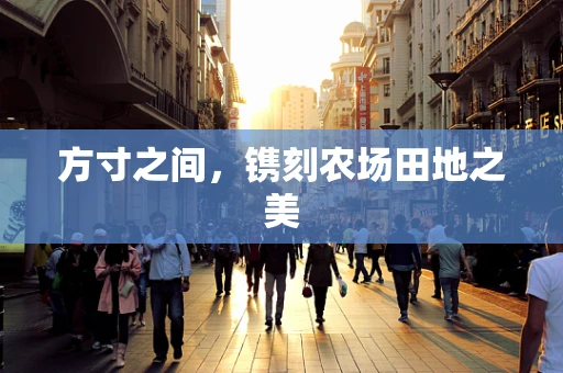 方寸之间，镌刻农场田地之美
