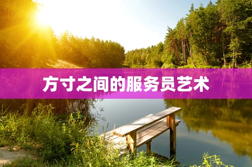 方寸之间的服务员艺术