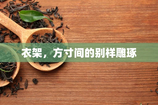 衣架，方寸间的别样雕琢