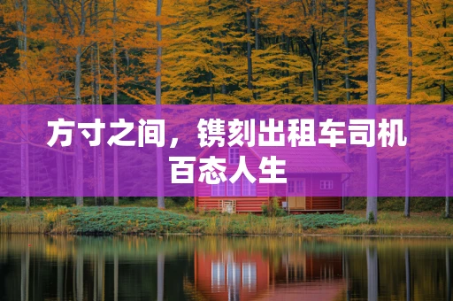 方寸之间，镌刻出租车司机百态人生