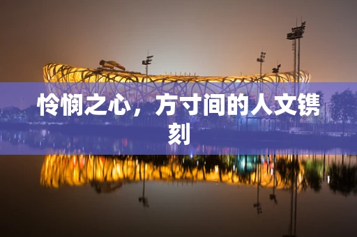 怜悯之心，方寸间的人文镌刻
