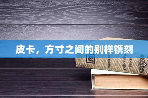 皮卡，方寸之间的别样镌刻