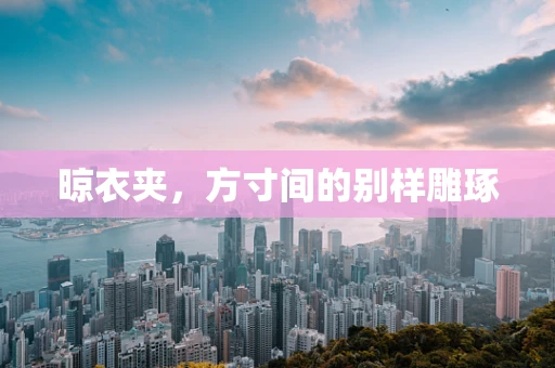 晾衣夹，方寸间的别样雕琢