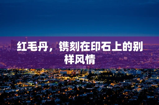 红毛丹，镌刻在印石上的别样风情