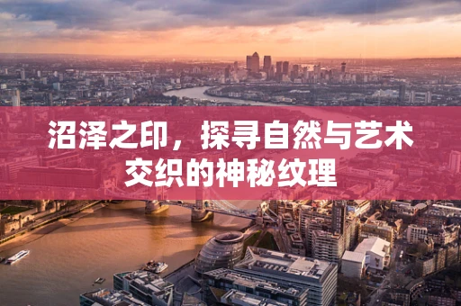 沼泽之印，探寻自然与艺术交织的神秘纹理