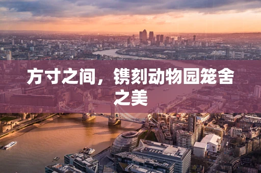 方寸之间，镌刻动物园笼舍之美