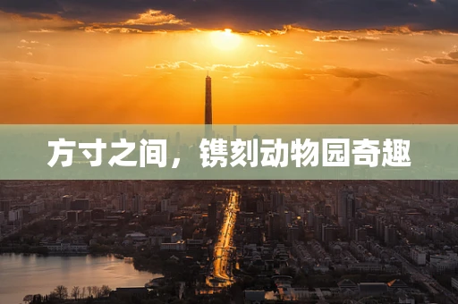 方寸之间，镌刻动物园奇趣
