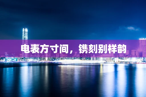 电表方寸间，镌刻别样韵
