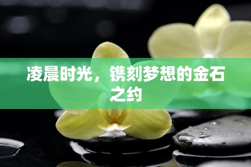 凌晨时光，镌刻梦想的金石之约