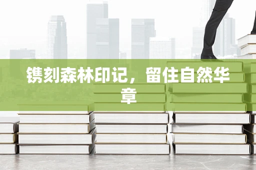 镌刻森林印记，留住自然华章