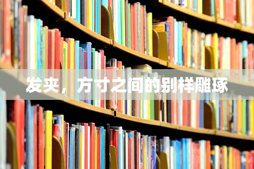 发夹，方寸之间的别样雕琢
