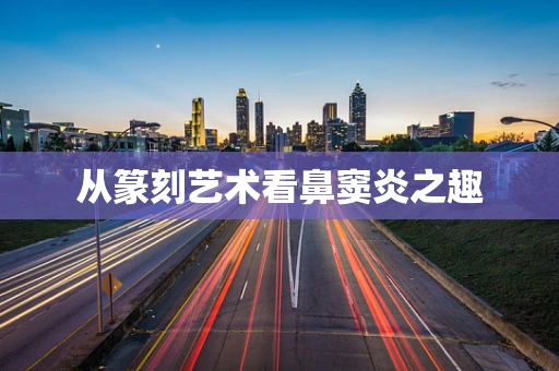 从篆刻艺术看鼻窦炎之趣